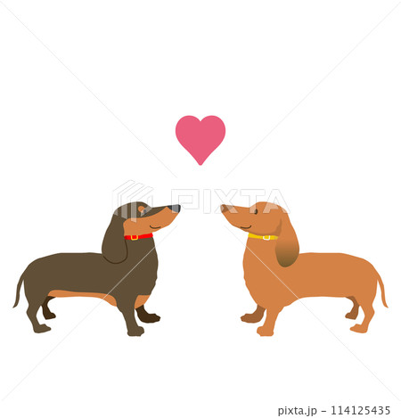 エルメス ダックスのイラスト プレート エルメス ダックスのイラスト プレート エルメス ダックスのイラスト