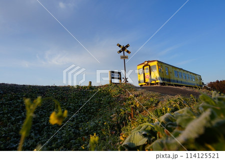 いずみ鉄道 千葉県鉄印帳の旅2 いずみ鉄道 千葉県鉄印帳の旅2 114125521