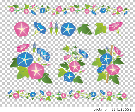 夏の朝顔の花 114125552