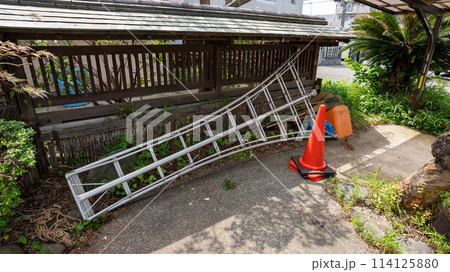 庭の草木の剪定作業中 114125880