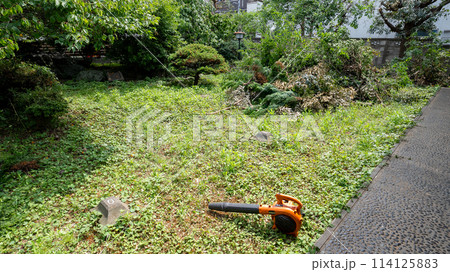 庭の草木の剪定作業中 庭の草木の剪定作業中 114125883