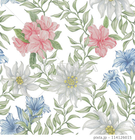 Seamless pattern with alpine flowers. Edelweise, rhododendron, gentiana. Watercolor print for textile, wallpaper, covers, surface. 114126015