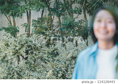 坪庭の低木 114126443