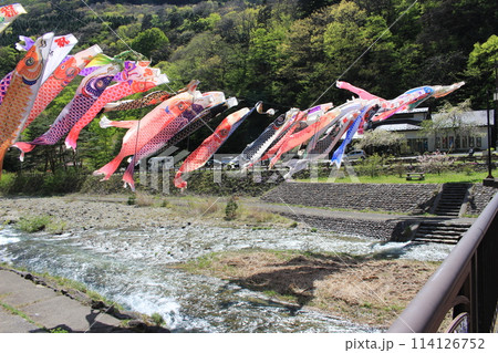 板室温泉　那珂川に舞う鯉のぼり 114126752