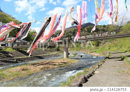 板室温泉　那珂川に舞う鯉のぼり 114126755