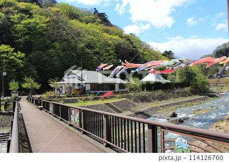 板室温泉　那珂川に舞う鯉のぼり 114126760