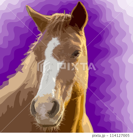 Portrait of a horse on a purple background. Vector illustration.	 114127005