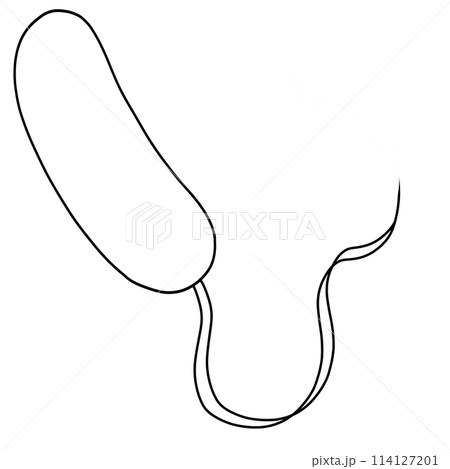 Doodle for Vibrio Cholerae Bacteria 114127201
