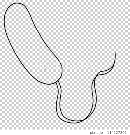 Doodle for Vibrio Cholerae Bacteria 114127201