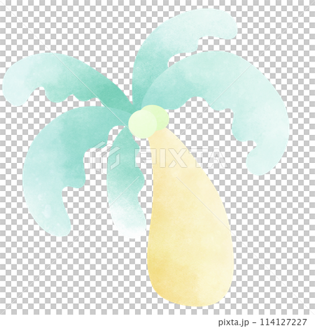 Coconut, tree, beach and summer 114127227