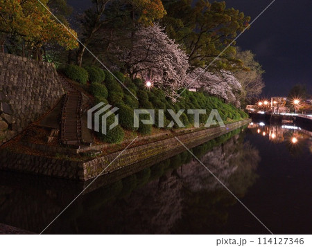 静岡県 駿府城公園の満開の夜桜 4月 静岡県 駿府城公園の満開の夜桜 4月 114127346