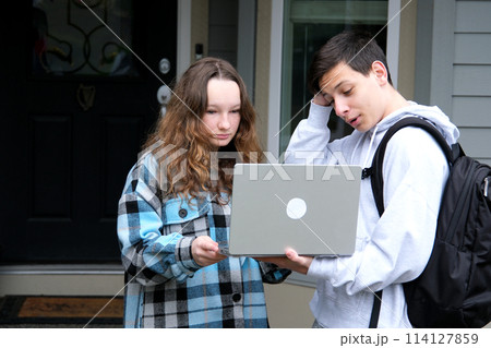 Happy young female employee discussing online project, showing computer presentation to skilled team leader in eyeglasses. Friendly diverse colleagues working in pairs on laptop, using applications. 114127859