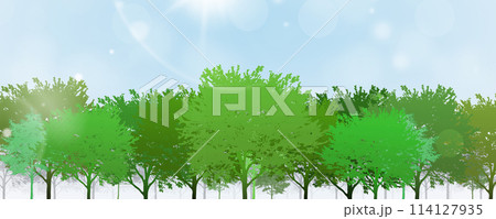 colors of spring trees 114127935