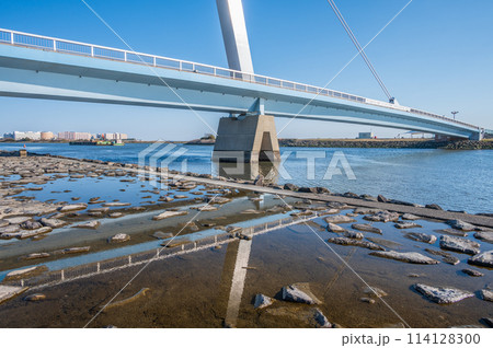 葛西臨海公園 葛西渚橋 葛西臨海公園 葛西渚橋 114128300