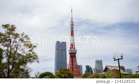 芝公園から見た東京タワー 114128525