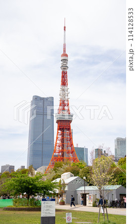 芝公園から見た東京タワー 芝公園から見た東京タワー 114128533