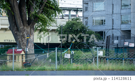 公園のキャンプ施設 公園のキャンプ施設 114128611