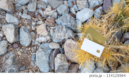 Amidst the rocky terrain rests a parched thorn bush, adorned with two bank cards one white, the other gold creating a stark contrast between human convenience and the ruggedness of nature. 114128964