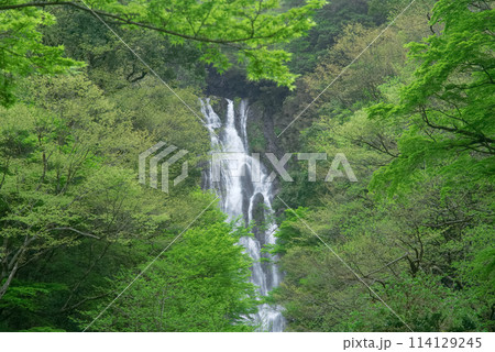 神庭の滝 神庭の滝 114129245