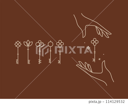 Linear key collection brown Linear key collection brown 114129532