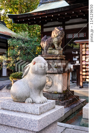 岡﨑神社の可愛い狛ううさぎ（京都） 114129650