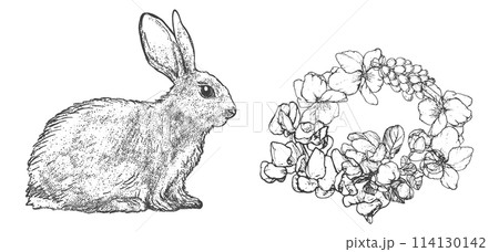 Graphical spring set isolated on white background, vector illustration Graphical spring set isolated on white background, vector illustration 114130142
