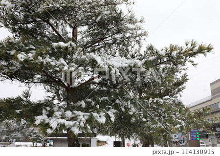 雪景 銀世界 雪景色 114130915