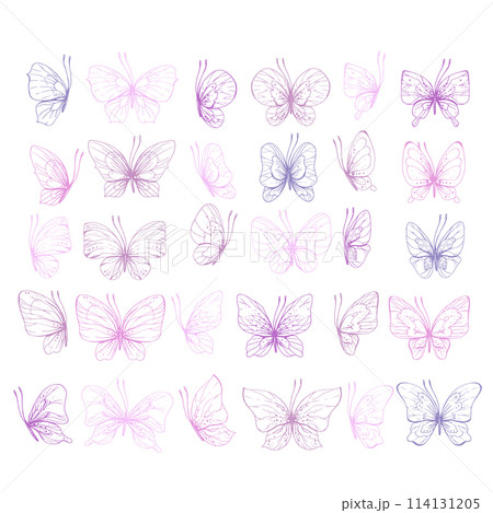 Butterflies are pink, blue, lilac, flying, delicate line art, clip art. Graphic illustration hand drawn in pink, lilac ink. Set of isolated objects EPS vector. Butterflies are pink, blue, lilac, flying, delicate line art, clip art. Graphic illustration hand drawn in pink, lilac ink. Set of isolated objects EPS vector. 114131205