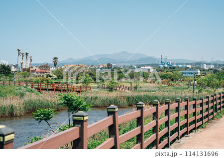 Volcanic Oreum and country village trail road in Jeju island, Korea 114131696