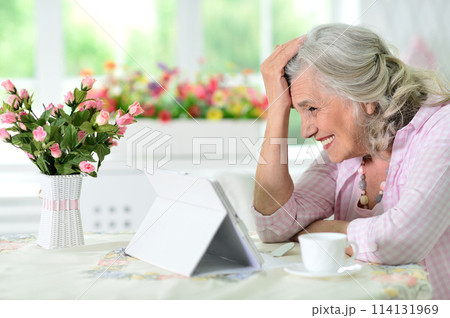 Cute nice senior woman using laptop at home Cute nice senior woman using laptop at home 114131969