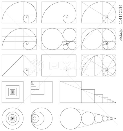 様々な黄金螺旋・黄金比率のベクターイラストセット 114132156