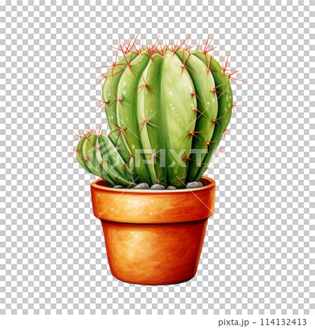 Cacti for Home and Garden Cacti for Home and Garden 114132413