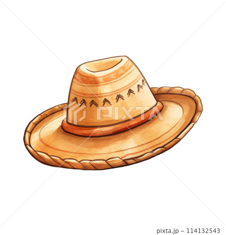 Handmade Straw Sombrero with Wide Brim 114132543
