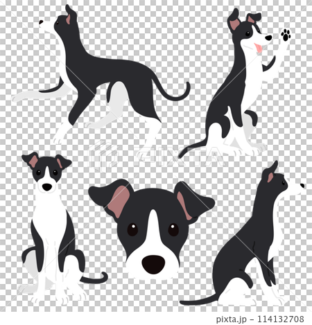 Simple and cute black and white Italian Greyhound illustration set without main lines 114132708