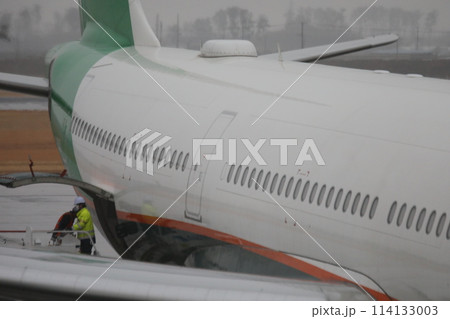 飛行機 航空機 ひこうき 114133003