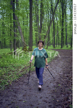 elderly woman is engaged in Nordic walking with sticks in the spring forest 114133017