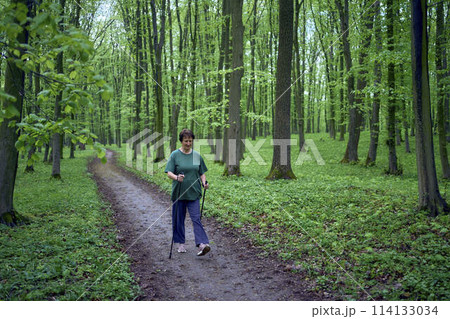 elderly woman is engaged in Nordic walking with sticks in the spring forest elderly woman is engaged in Nordic walking with sticks in the spring forest 114133034