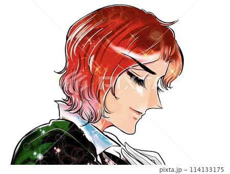 ナルシストな王子様がプロポーズする昭和少女漫画風の横顔イラスト 114133175