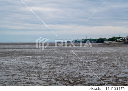 有明海の干潟 有明海の干潟 114133373