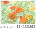 水彩で描いた花畑の素材 114133862