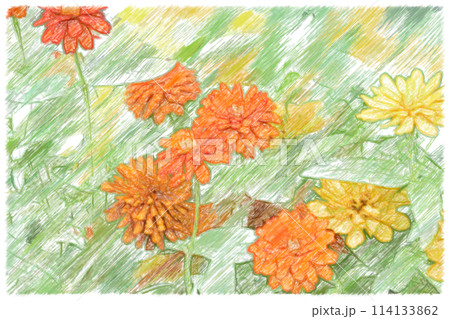 水彩で描いた花畑の素材 114133862