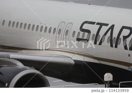 飛行機 航空機 ひこうき 114133959