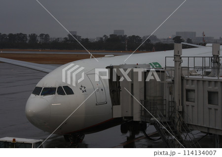 機首 飛行機 航空機 114134007
