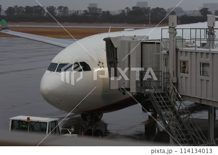 機首 飛行機 航空機 114134013