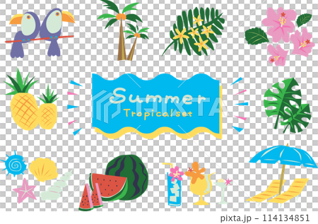 Summer material tropical set 114134851