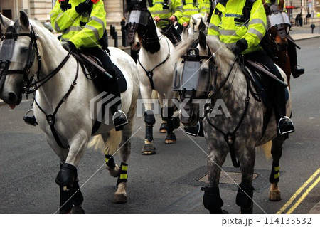 イギリス ロンドン 騎馬警官 馬 イギリス ロンドン 騎馬警官 馬 114135532