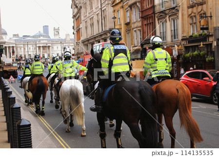 イギリス ロンドン 騎馬警官 馬 114135535