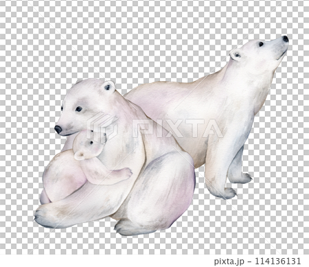 Watercolor animals illustrations. Cute wild animal polar bears silhouette isolated on a white background. Mother's Day card handmade. Save the Arctic. White bear on an isolated white background 114136131