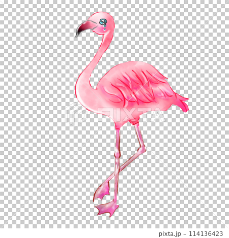 Crying Flamingo 114136423