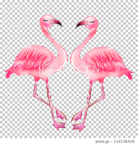 友善的火烈鳥 友善的火烈鳥 114136426